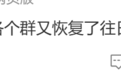 大涨，“各个群又恢复了往日的欢声笑语”