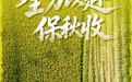 海报丨全力以赴保秋收