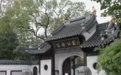 一缕桂香打开限定款金秋美景 时令美食解锁鲜活城市烟火
