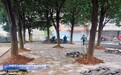 党建引领焕新貌 老旧小区变身幸福家园——大祥区扎实推进老旧小区改造提质工作