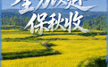 全力以赴保秋收(3)