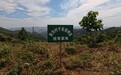 水路通、产业兴、书香浓：农行陕西省分行深耕商洛助振兴