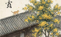 图说节令丨时至寒露，解锁深秋三重乐(1)