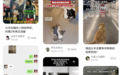 当代年轻人的分手大战：不争车房，只争猫狗
