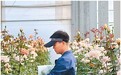 科技小院里的年轻人 把青春华章写在田间地头
