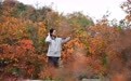 美丽中国丨秋染太行(6)