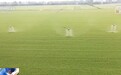 视频丨治理对象→优质肥料 探寻野生浒苔里藏着的“增产密码”