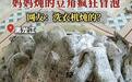 女子吐槽妈妈炖的豆角疯狂冒泡！还以为长毛了…网友：放洗衣机里炖的？