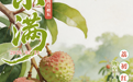 用语文课本的方式打开小满