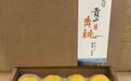 （乡村行·看振兴）苏州镇湖：守好太湖水源 端稳“生态饭碗”