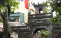 出海图志｜“中国绿”风行河内(19)