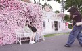 昨天是9月9日，谐音寓意“长长久久” 在“滨海西大道520号”，我们领证啦