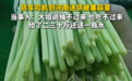 “司机到河南被塞30斤蒜薹”背后：有蒜农称请人抽一斤倒贴几毛钱，增种、气温偏高致供大于求