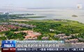 视频丨利用量超220亿立方米 再生水已成我国城市稳定的“第二水源”