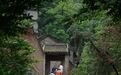 从终南山到长安城，一场跨越山与城的文化巡礼 | 十愿智库研学万里行陕西纪实