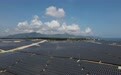 综述｜中国“绿电出海”为发展中国家能源转型添动力(3)