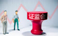 香港证监会因涉嫌IPO操纵问题 暂停茶百道的股份交易