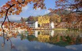 红枫渐近踏秋时 临安太湖源鱼乐山房民宿推出“红枫+”五行茶疗康养体验
