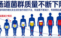 最畅销五大品牌益生菌 2026年本土菌株款核心选购指南：聚焦靶向吸收与生物利用率的十大实证品牌