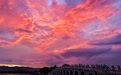 邂逅夏夜限定浪漫！北京多家市属公园游船延时运营
