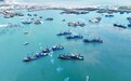 海报观察 | 开海，开的是什么？