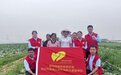 党建红+蔬菜绿|碧桂园服务陕晋区域西安凤凰城助农行动献礼劳动节