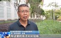 视频丨“教书育人有开始但没有终点” 银龄教师讲台上发挥余热