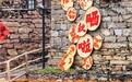 览景观戏 赏影阅博——河南国庆文旅出游全指南