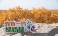 心有所爱，自有森林：益世界连续多年捐赠胡杨，支援“一带一路”生态建设