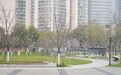 453个车位！武汉上新樱花停车场！游中山公园可实现停车自由