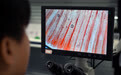 活力中国调研行｜科技育种推动海南渔业高质量发展(4)