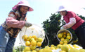新华全媒头条｜跨越时空的伟大进军：从烽火长征路到乡村全面振兴路(5)