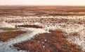 美丽中国｜水镜映秋色 芦荡藏鸟音(8)#