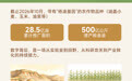 一粒杨凌种子，能走多远？