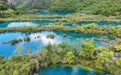 四川九寨沟：避暑入境游“热”起来(8)