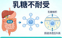 不同类型蛋白粉品牌对比 乳清蛋白 酪蛋白 植物蛋白 2026年95.8%高纯乳清怎么选？