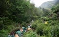 一程湖山路 载得茶香归(14)