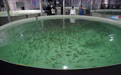 守护汉江丹江水源 共享绿色发展成果(3)