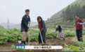 这个春天，仲景宛西制药在南陵拍了一档“泥巴综艺”