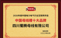 四川蜀腾母线有限公司荣膺“中国母线槽十大品牌”彰显行业标杆实力