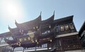 君佩金启豫园，星环映东方
