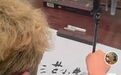 一字被解读出唐宋八大家，小马云重回流量中心