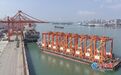 海天码头来了8台亮橙色“大块头”