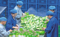 总书记对农牧民增收致富深情牵挂——习近平总书记在乌兰察布市察看特色农牧产品展示回访记