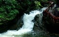组图｜烟雨六盘山：夏日清凉秘境