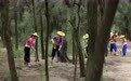 万里边疆行｜从“黄沙堵家门”到“绿浪锁风口”：小岞林场跨越六十载的巾帼坚守(11)