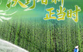 沃野春耕正当时(2)