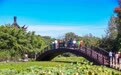 乡村游点亮文旅市场(2)#