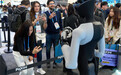 CES 2026观察：“物理AI时刻”要靠中国制造落地