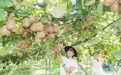荒山变茶谷，老屋成民宿！安徽安庆宜秀区撑起村民家门口的致富产业